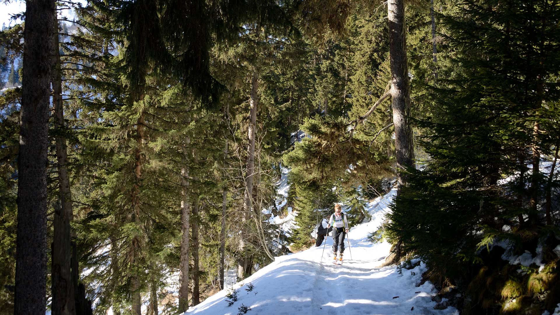 At La Gite, leave the road and go left along the forest