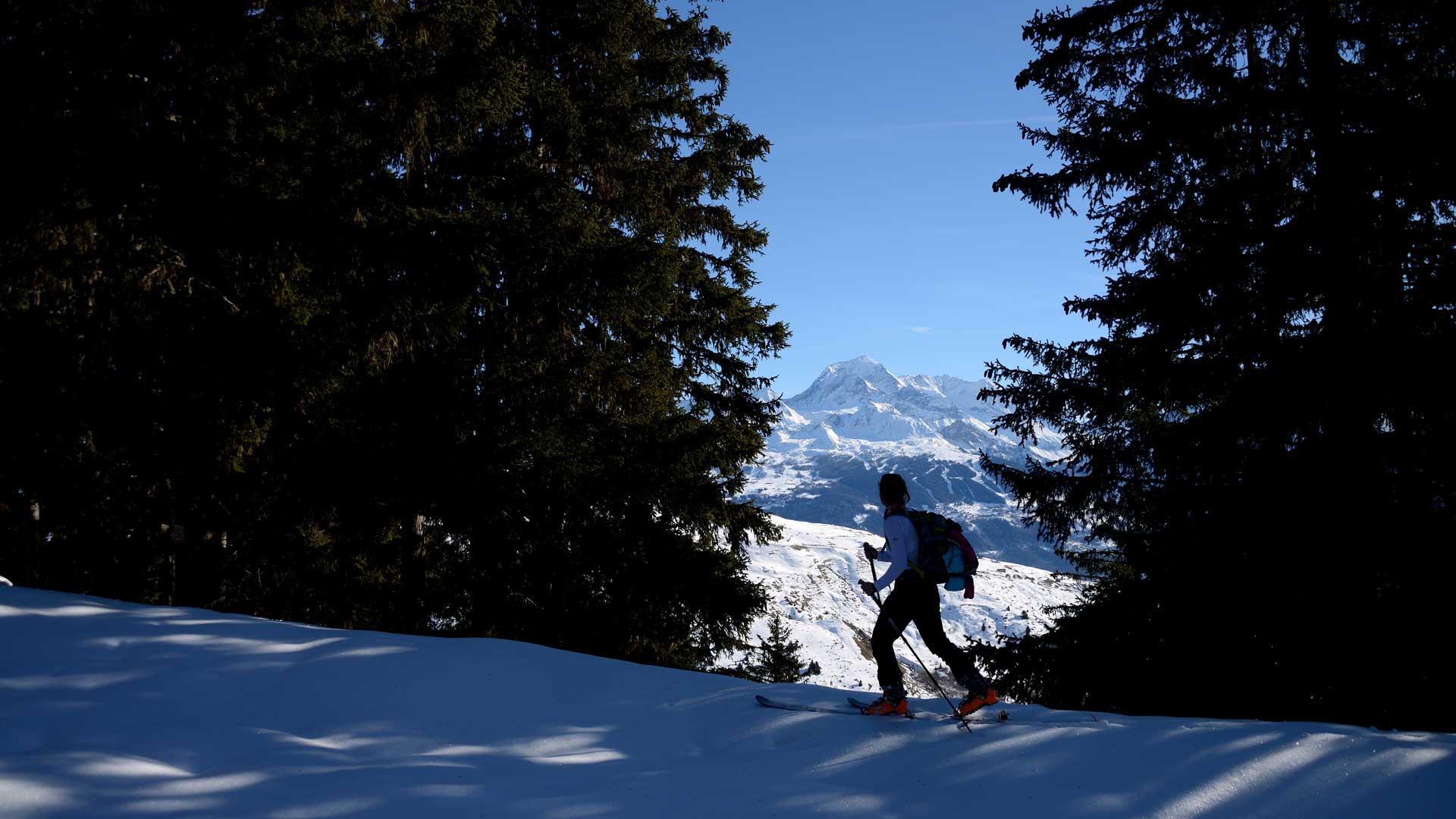 Le mont Pourri en arrière plan